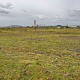 Open (early successional) Habitats on Previously Developed Land