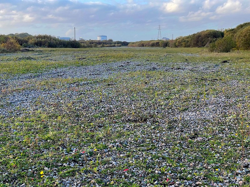 Open (early successional) Habitats on Previously Developed Land - © Charles Hipkin