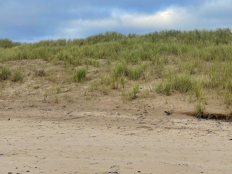 Sand Dunes - © Charles Hipkin