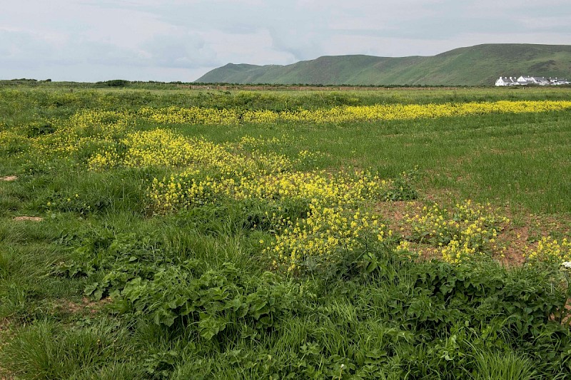 Arable Land - © Charles Hipkin